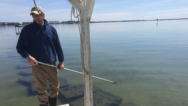 Oyster-Aquaculture-in-the-Piankatank-River