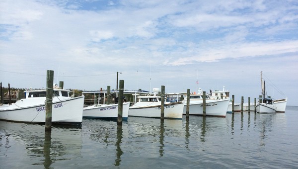 chesapeake bay boat tours virginia